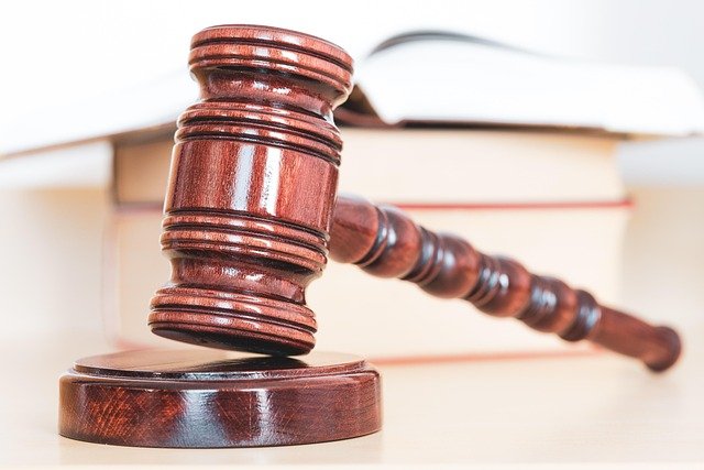 Constitutional Law & Writ Remedies